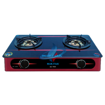 Bếp gas đôi NG-6910H