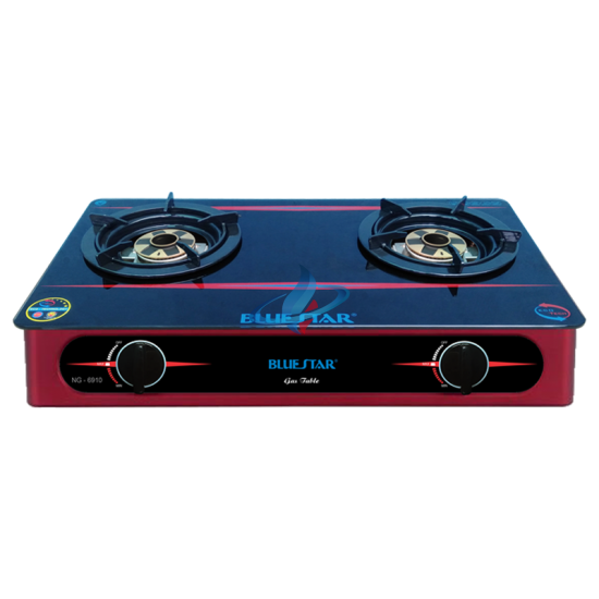 Bếp gas đôi NG-6910H
