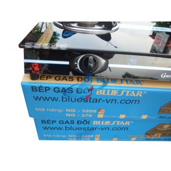 Bếp Gas Bluestar